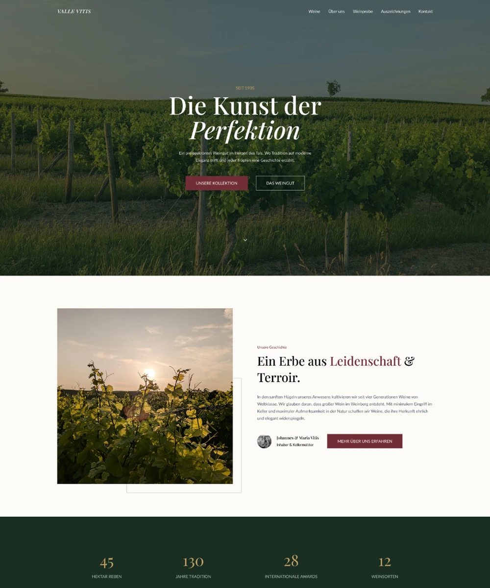 Bild der Webseite von Valle Vitis